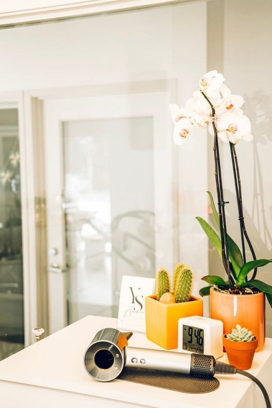 Top Pain Points for Small Businesses