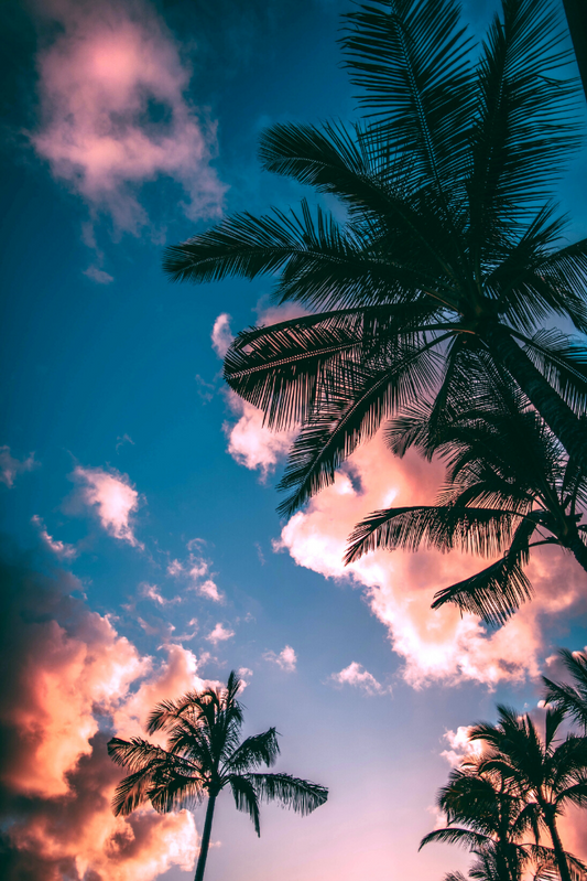 How to prepare a salon for the beginning of summer?